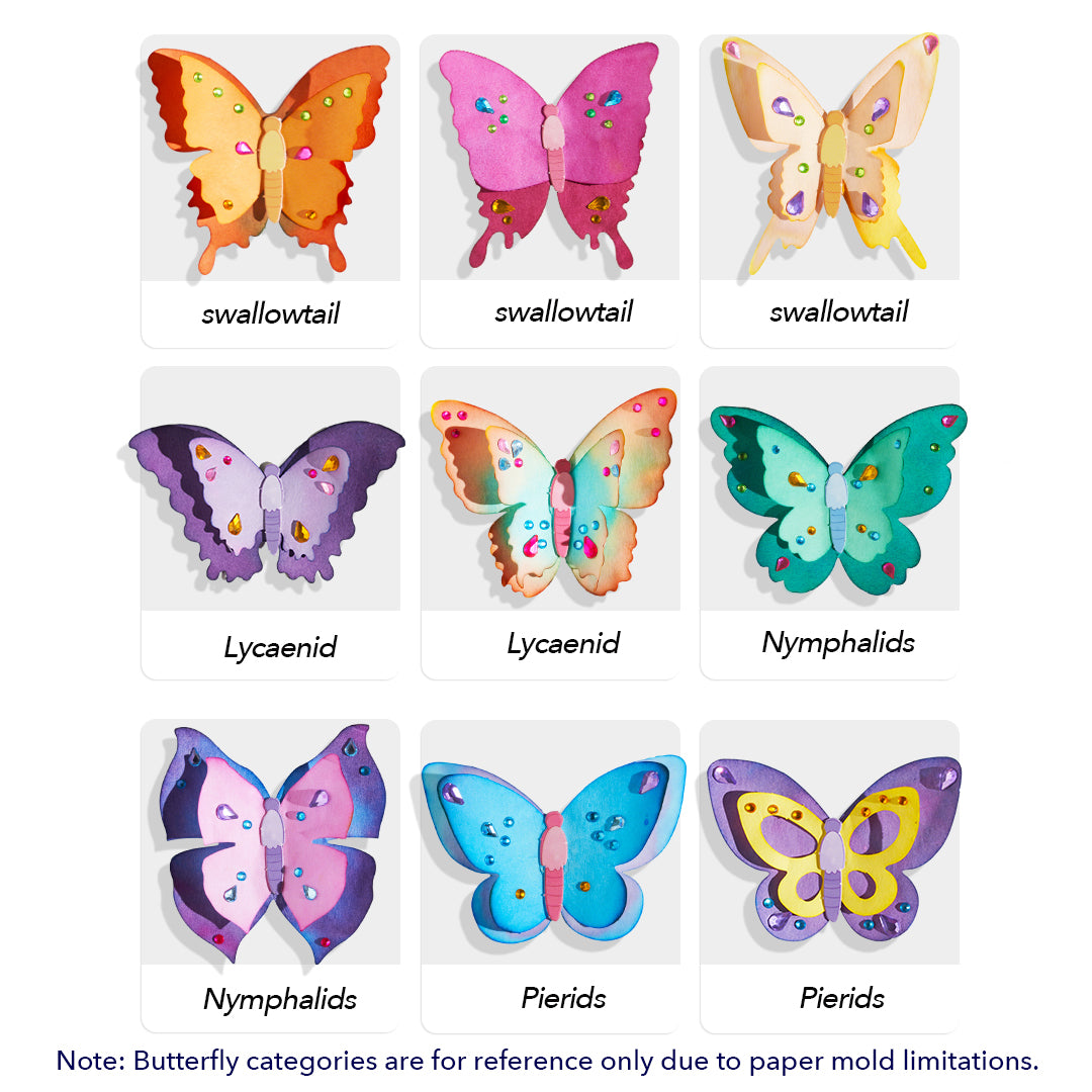 Fantasy Butterfly Garden Dyeing Kit