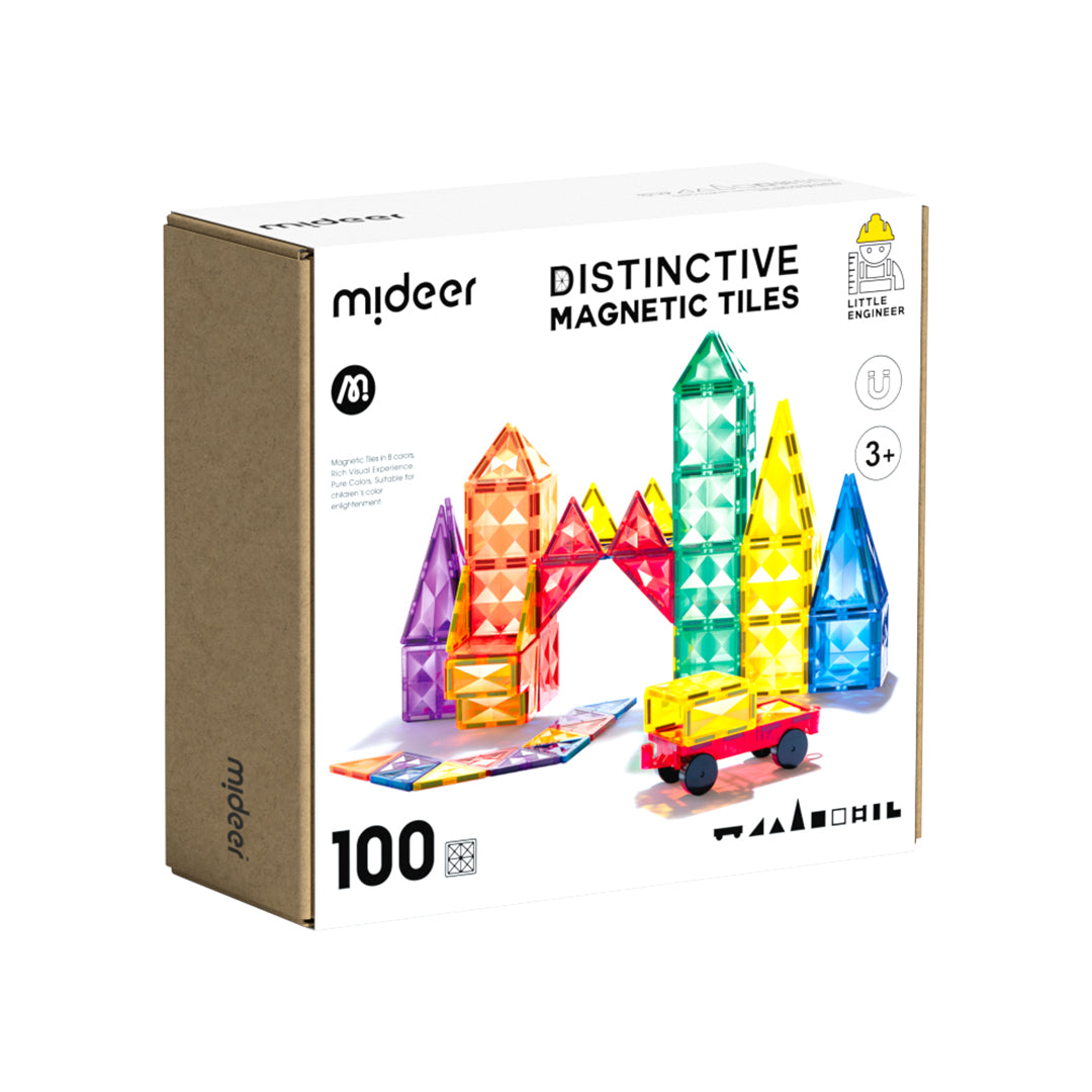Piastrelle magnetiche distintive 100P